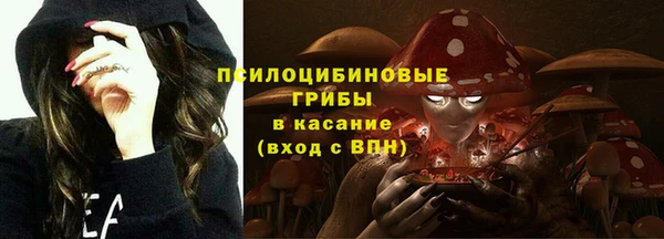 дмт Балахна