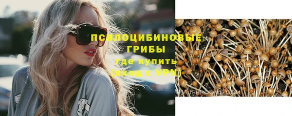 дмт Балахна