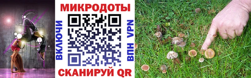 Галлюциногенные грибы мухоморы  продажа наркотиков  Усолье-Сибирское 